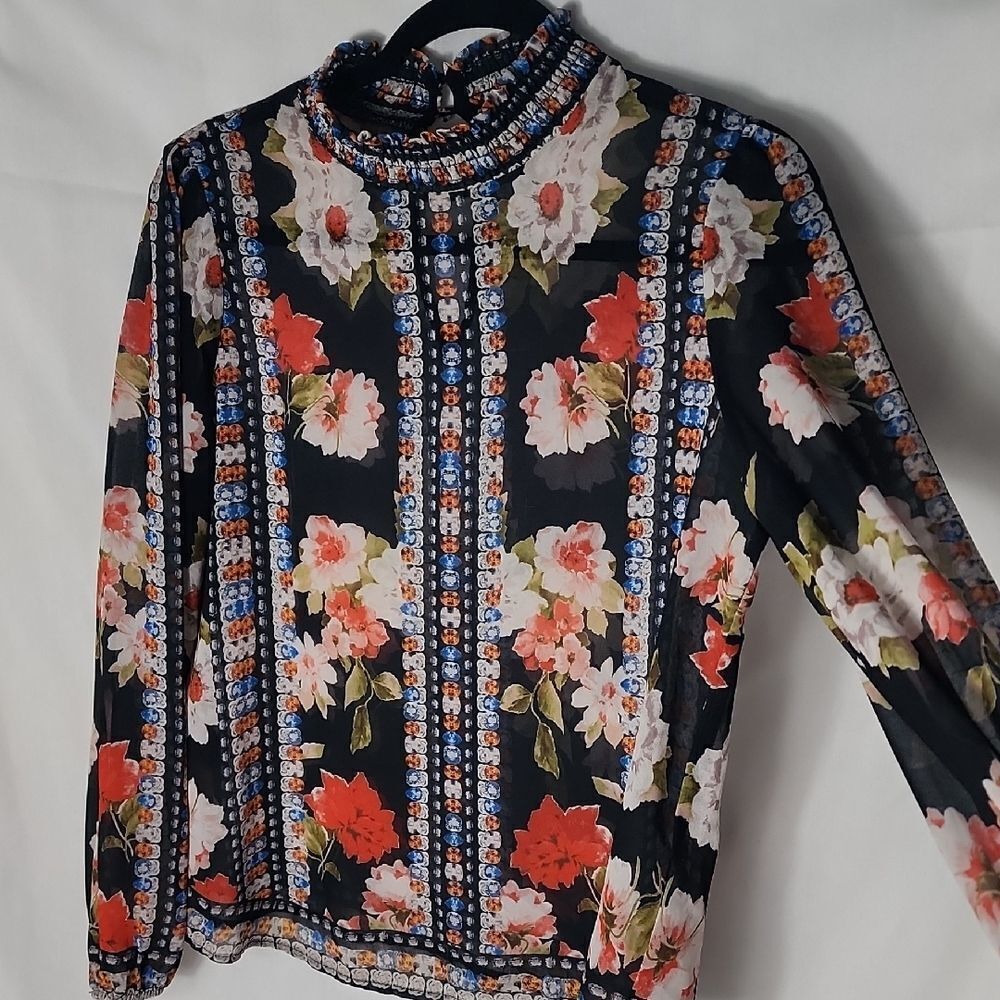 Sheer Floral Long Sleeved Blouse Ruffled Neckline Whimsigoth Fairy Goth